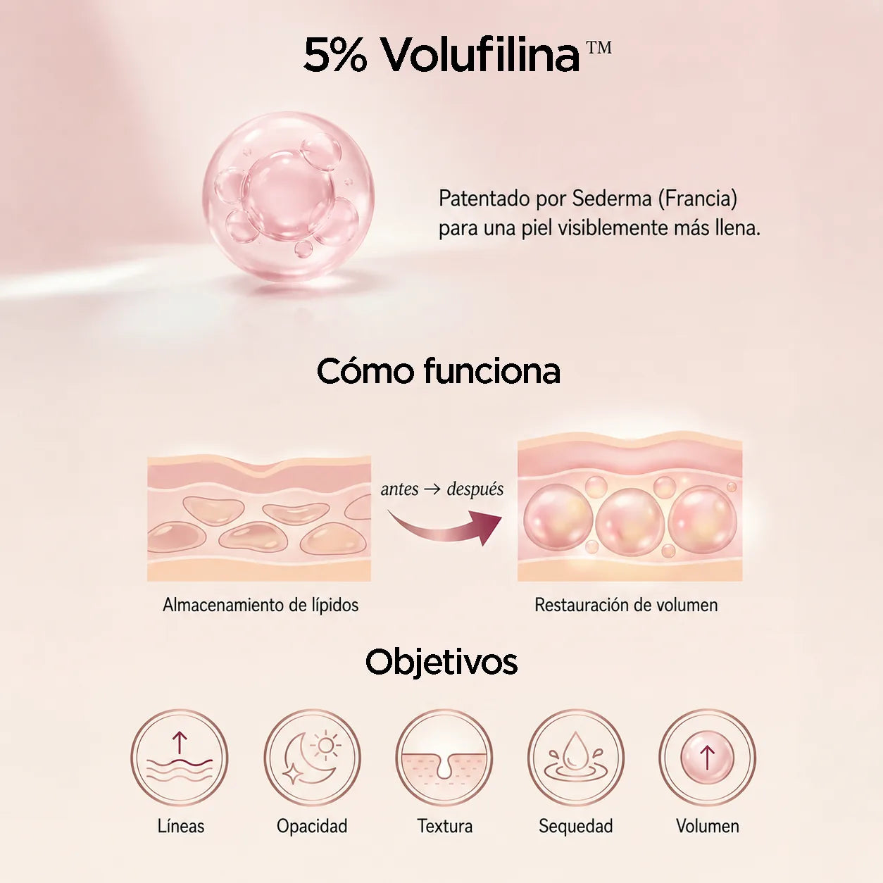 Volufilina al 5 %, activo patentado por Sederma, y cómo actúa